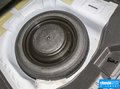 福睿斯 圖片