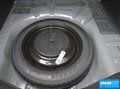 福睿斯 图片