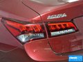 讴歌TLX 图片