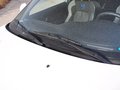 V3菱悦 2015款 1.5L 自动 幸福型图片
