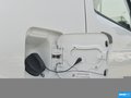 吉姆尼（进口） 图片