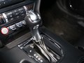 Mustang 2015款 野马图片