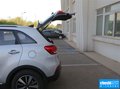 赛图斯 图片