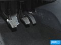 赛图斯 图片