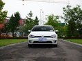 高尔夫新能源(进口) 图片