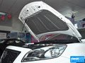 福美来 图片