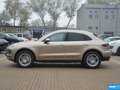 Macan Macan S3.0T2016款