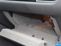 Macan 圖片