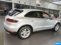 Macan 图片