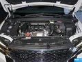 DS 5LS 图片