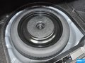 福克斯 图片