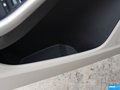 福克斯 图片