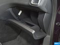 DS 5 圖片