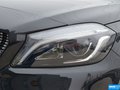 奔驰A级(进口) A200赛道版2016款