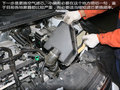 金刚 图片