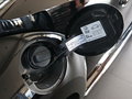 甲殼蟲(chóng) 圖片