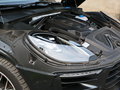 Macan 图片