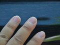 君越 图片