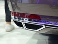 辉昂 图片