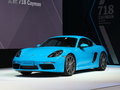 Cayman 图片
