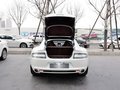 Rapide 图片