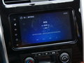 风行SX6 棕色图片