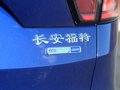 翼虎 图片