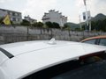 福克斯 图片