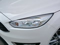 福克斯 图片