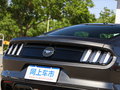 Mustang 圖片