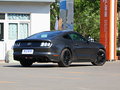 Mustang 图片