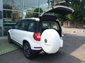 Yeti 图片