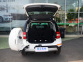 Yeti 图片