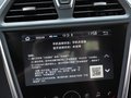 福美来 图片