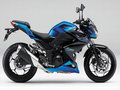 Z250(本土版) Z250(本土版)2015款