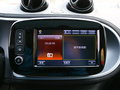 巴博斯 smart forfour 图片