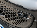 巴博斯 smart forfour 图片