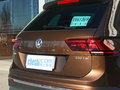 Tiguan 图片