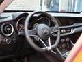 Stelvio斯坦维 图片