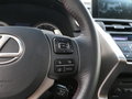 雷克萨斯NX 图片