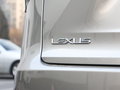 雷克萨斯NX 图片