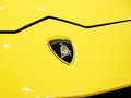 Urus 图片
