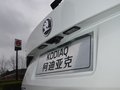 柯迪亚克 图片