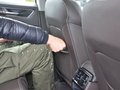 柯迪亚克 图片