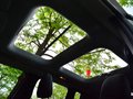自由侠 图片