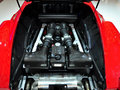 F430 2005款 F430图片