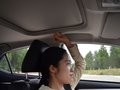 雷凌 图片