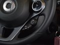 巴博斯 smart fortwo 图片