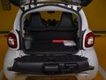 巴博斯 smart fortwo 图片