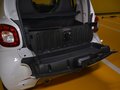 巴博斯 smart fortwo 图片